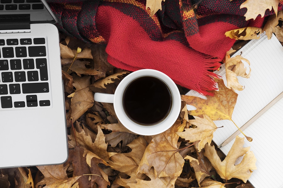 6 Fall Job Search Musts