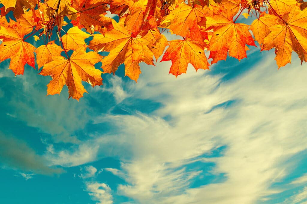 These Motivational Quotes Will Surely Help You Out of Your Funk