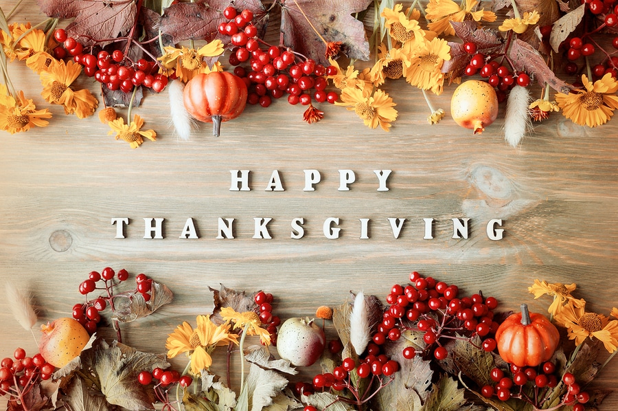 Thanksgiving Safety Tips
