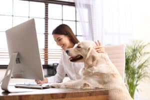 4 Items to Improve Your Work from Home Experience